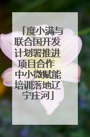 度小满与联合国开发计划署推进项目合作 中小微赋能培训落地辽宁庄河